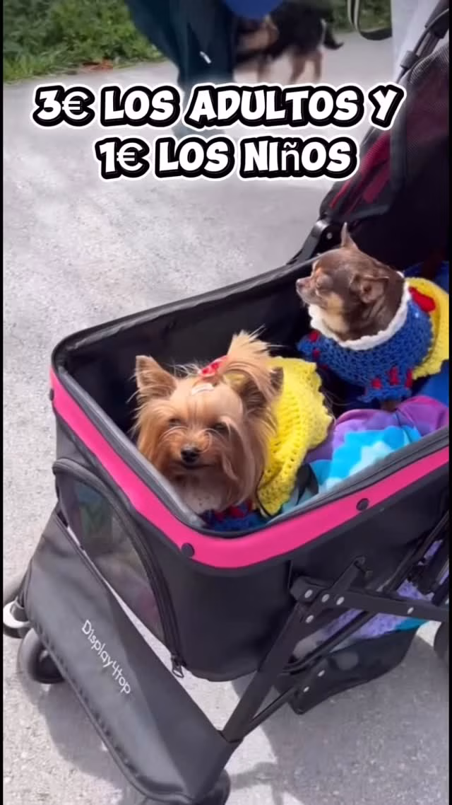 VII Edición de la Caminata Solidaria con Animales en Almoradí