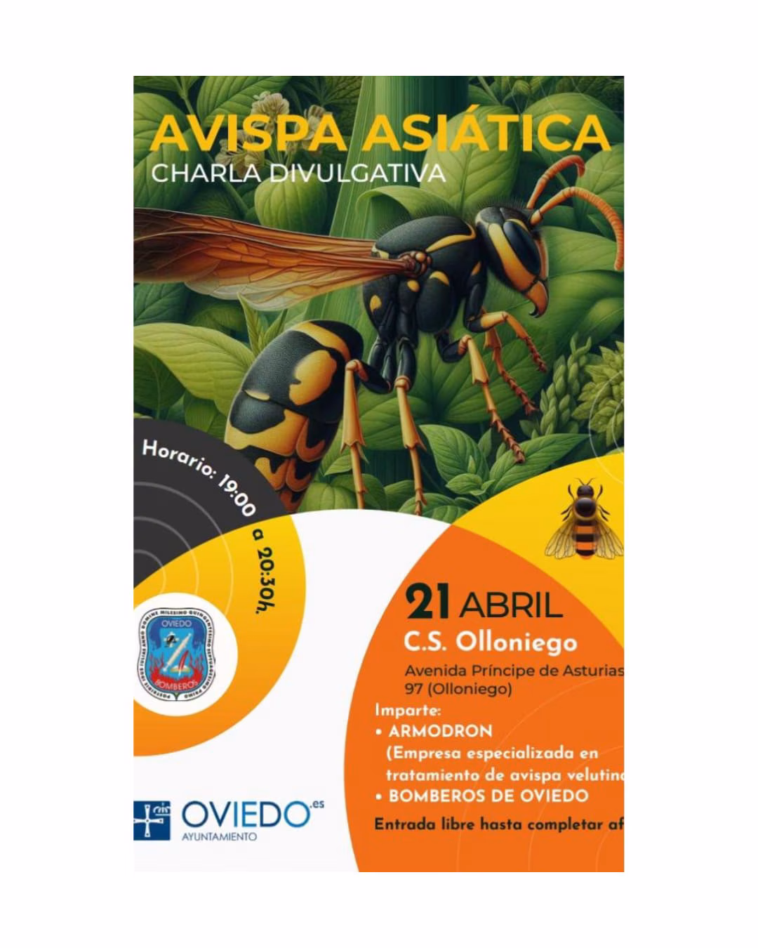 Charlas divulgativas sobre la avispa asiática en Oviedo