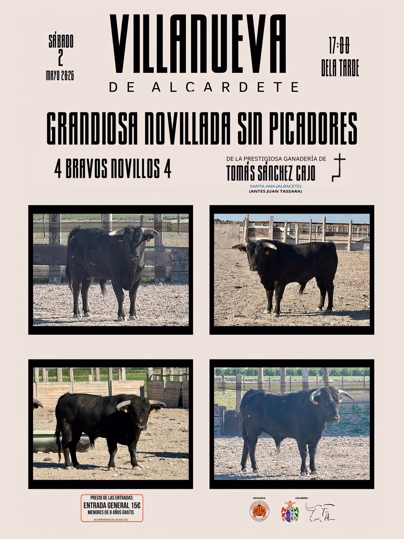 Grandiosa novillada sin picadores en Villanueva de Alcardete