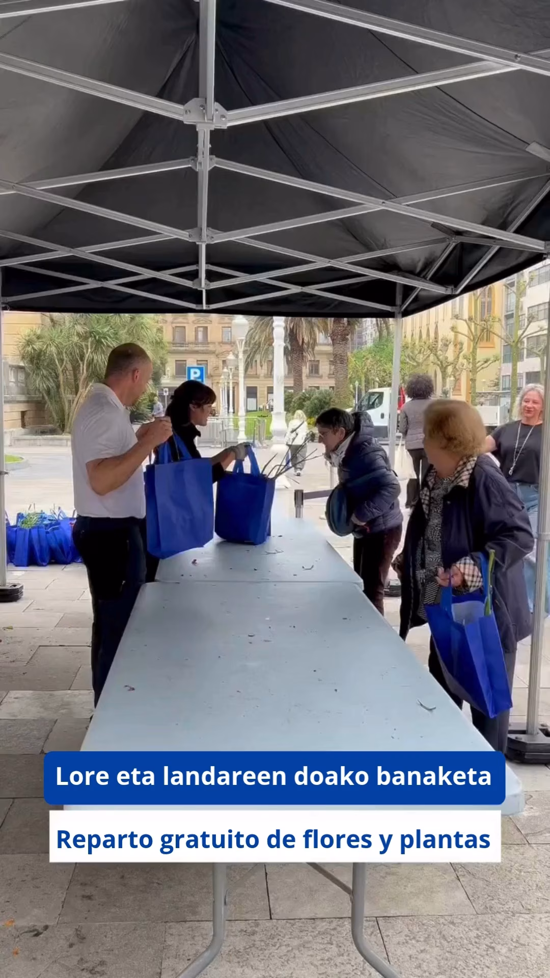 Reparto gratuito de flores y plantas en Donostia