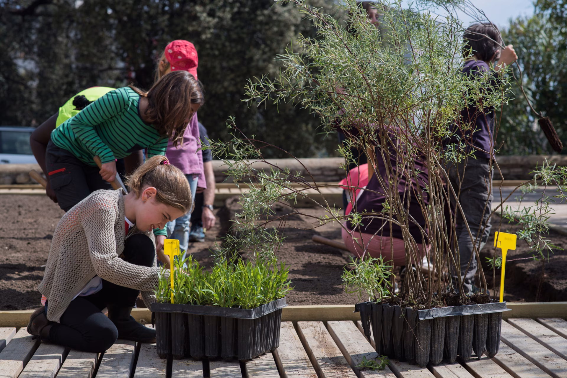 Hort al balcó en Ripollet