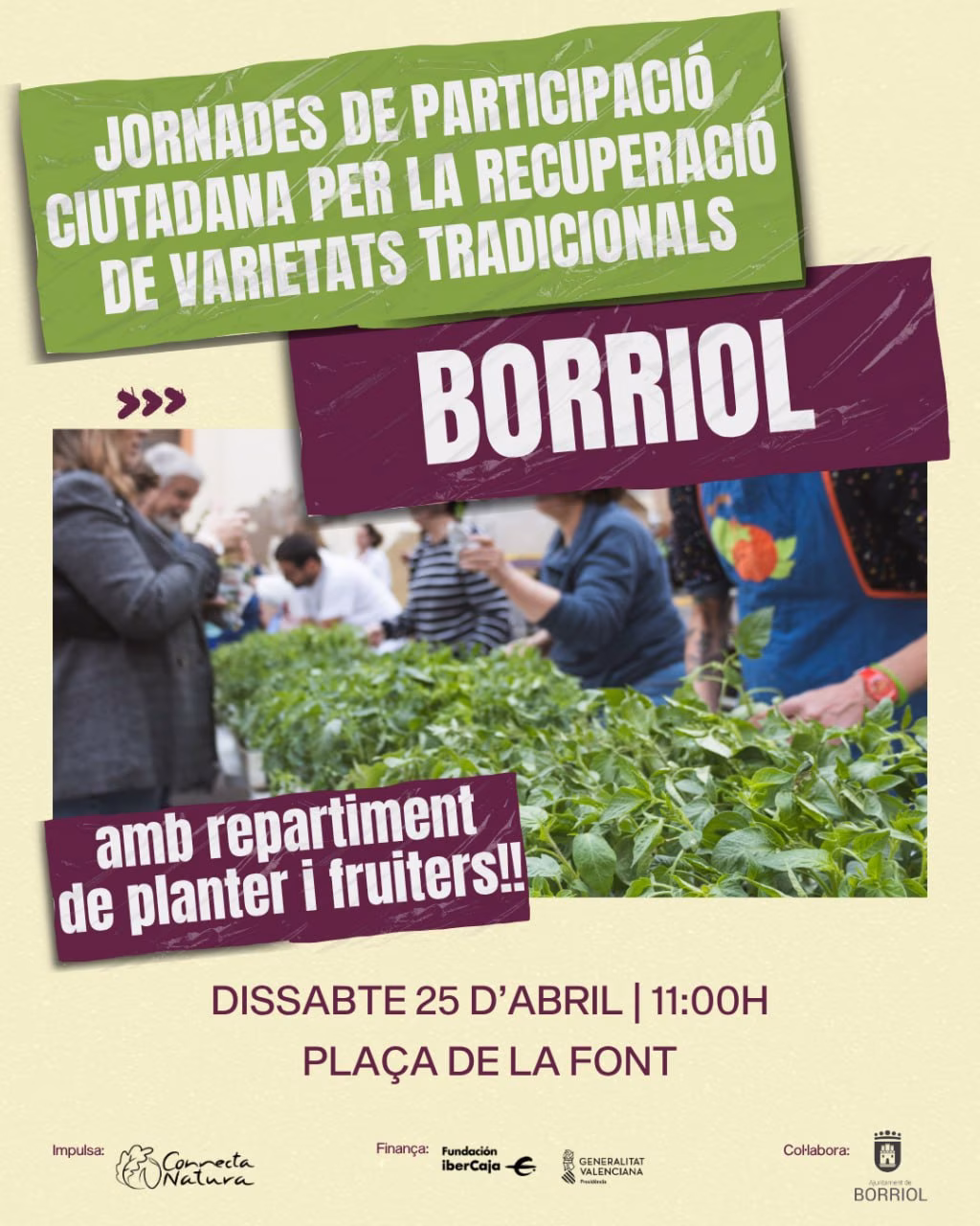 Jornades de Participació Ciutadana per la Recuperació de Varietats Tradicionals en Borriol