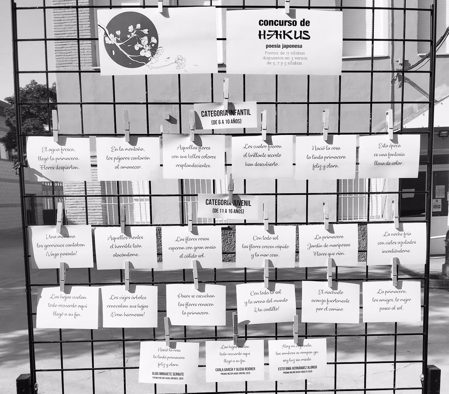 Recogida de detalles para finalistas del Concurso de Haikus en Villamayor de Gállego