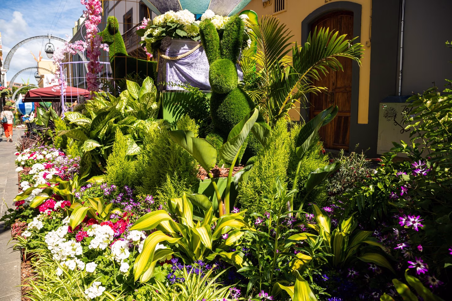 Gáldar en Flor en Gáldar