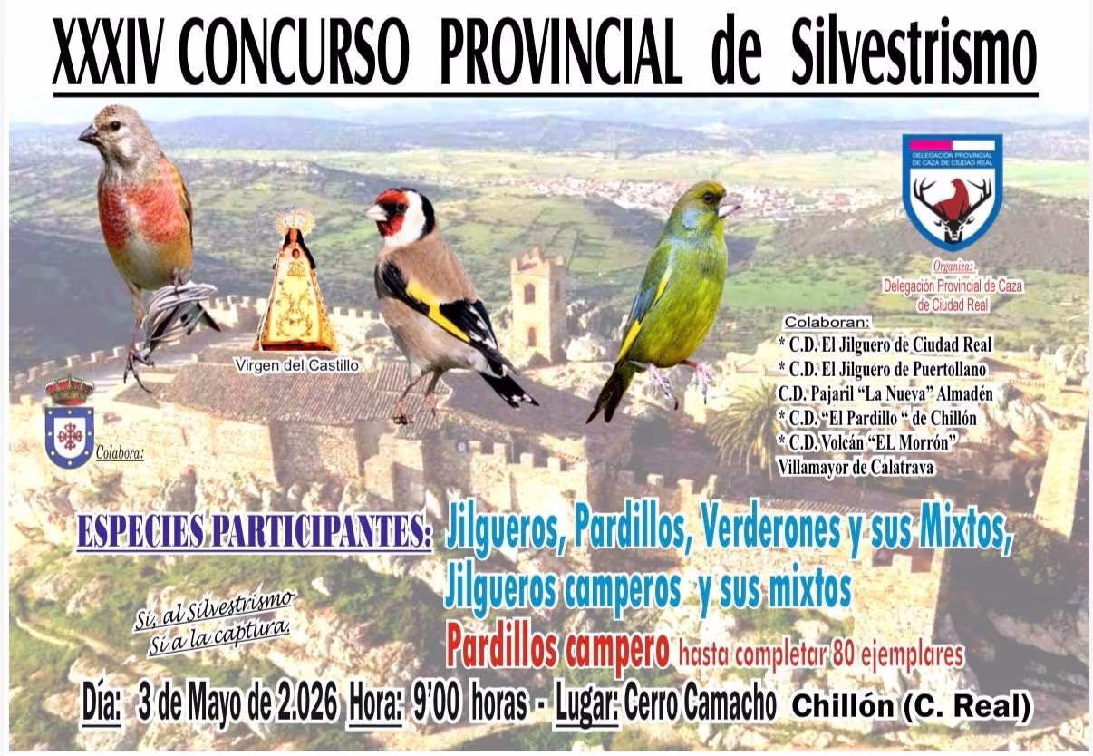 XXXIV Concurso Provincial de Silvestrismo en Chillón