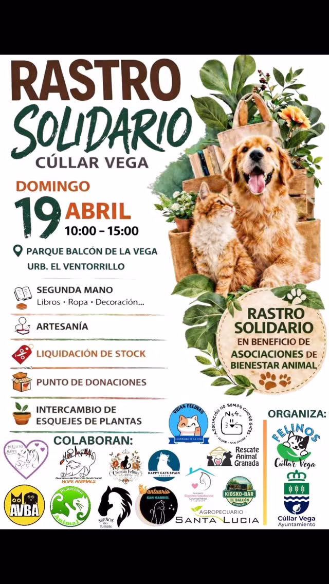 Rastro Solidario en Cúllar Vega