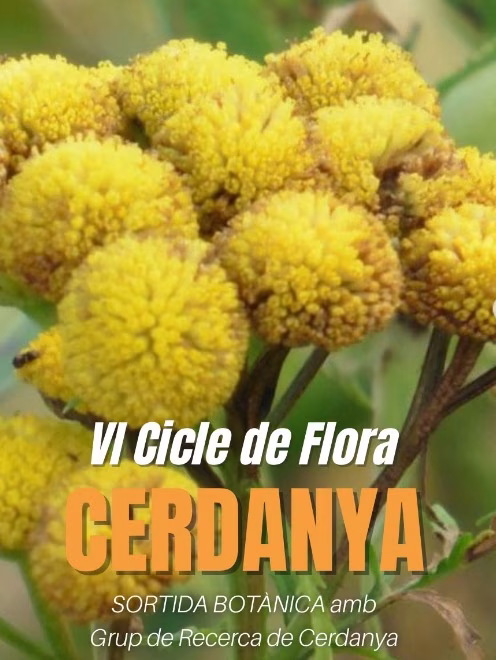 Sortida Botànica en Llívia