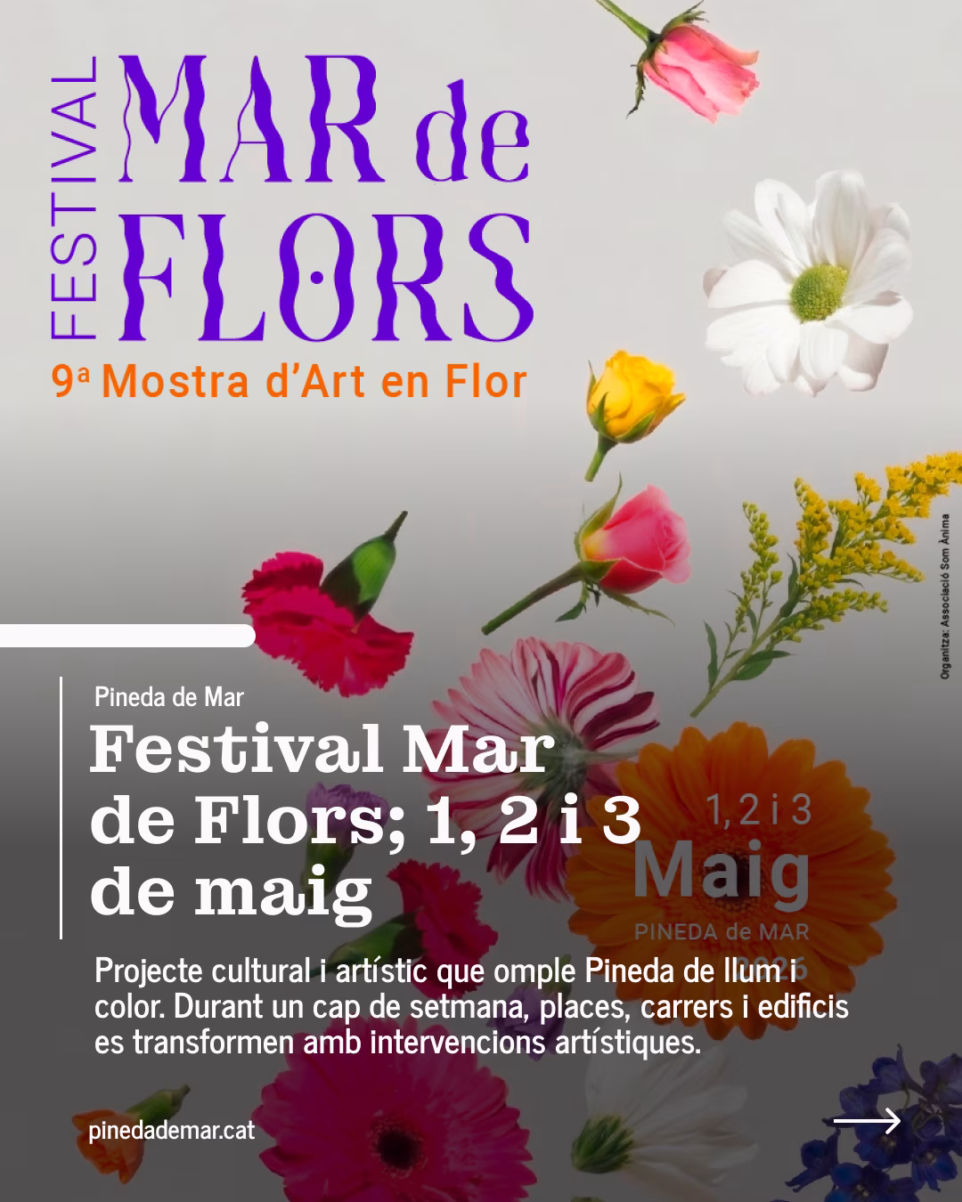 Festival Mar de Flors: 9a Mostra d'Art en Flor en Pineda de Mar