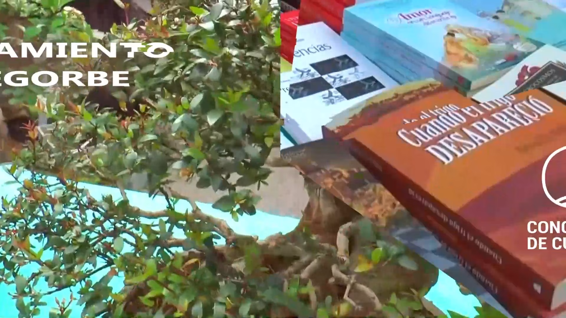 Feria del Libro y Conmemoración del Día Mundial del Libro en Segorbe