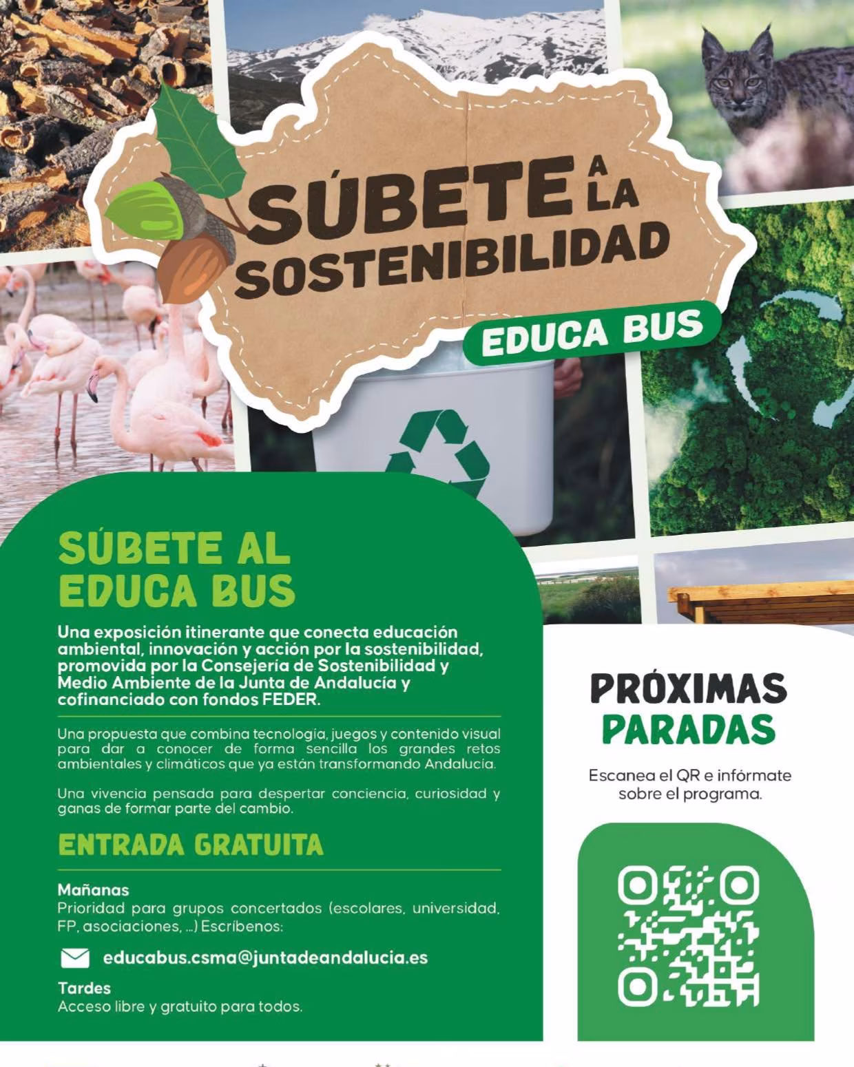 Educabus: Súbete a la Sostenibilidad en Montilla