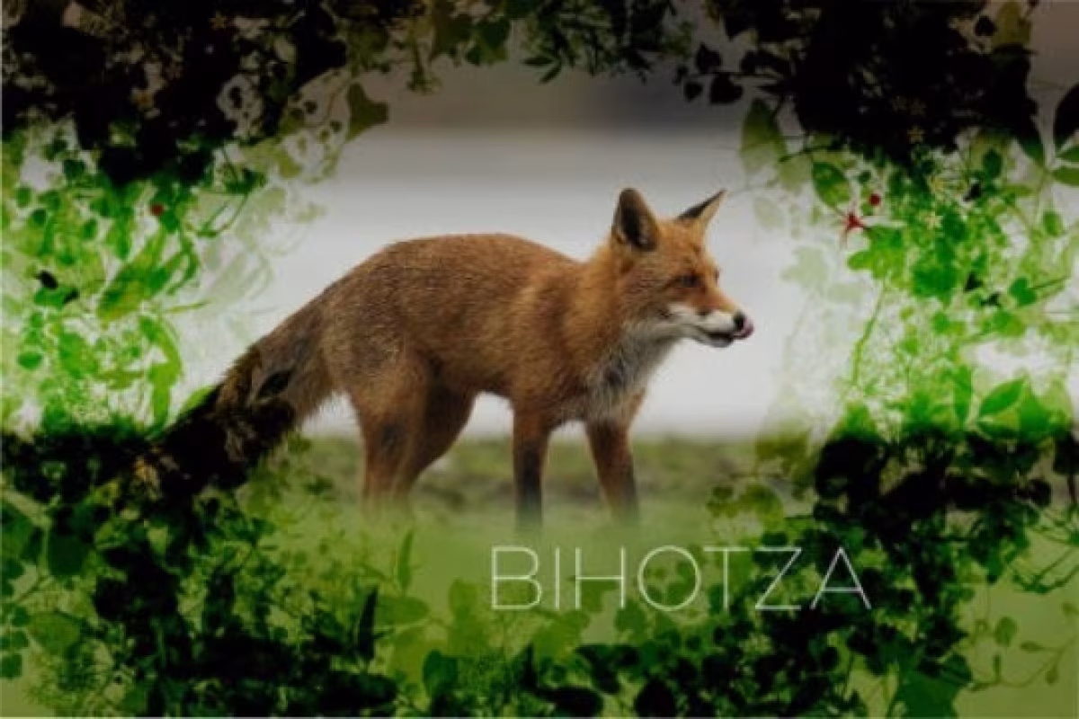 "Bihotza, la vida en Álava como nunca la habías visto" en Zalduondo