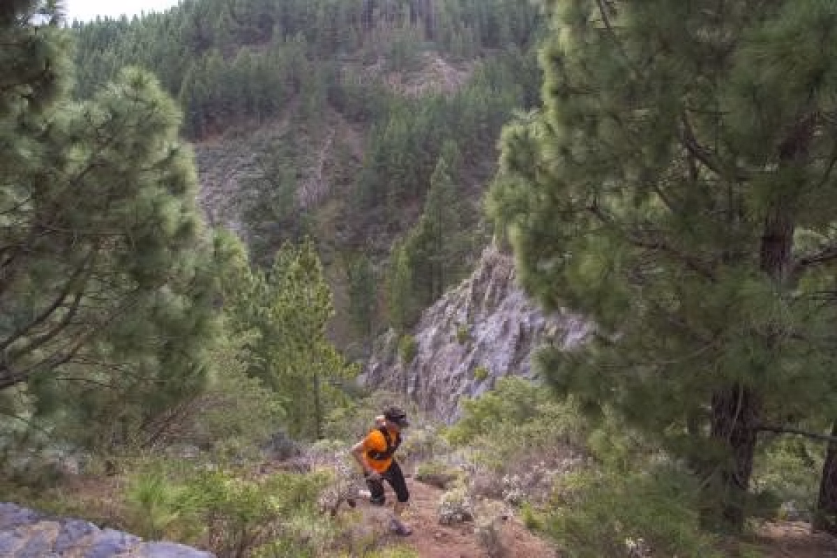 Circular Brutal Trail en Machado