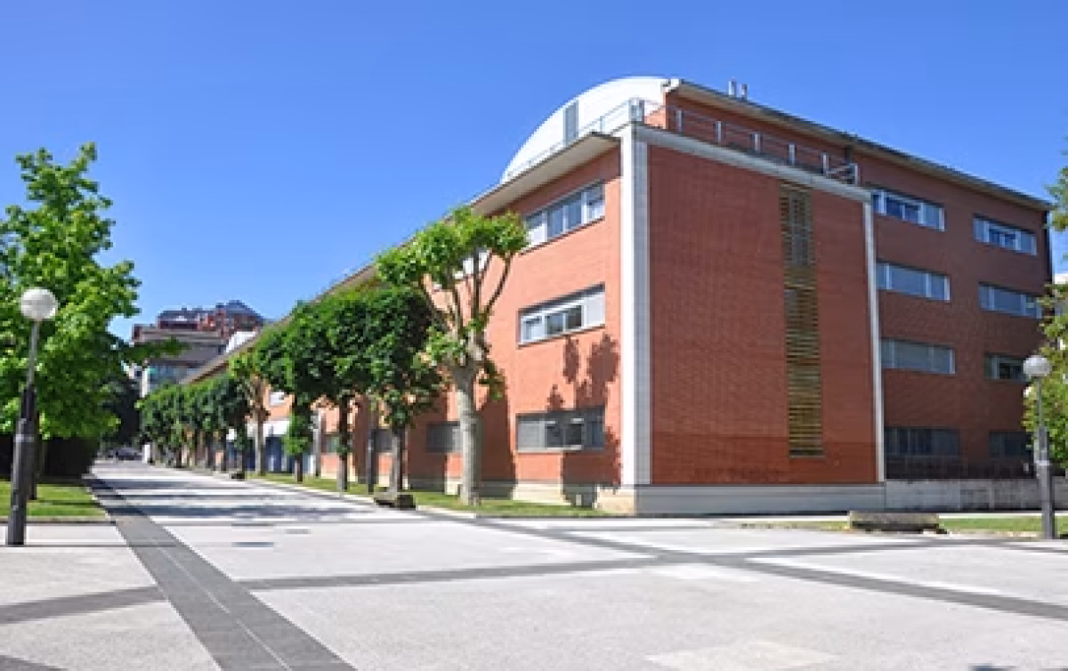 Curso práctico sobre agricultura ecológica urbana en Vitoria-Gasteiz