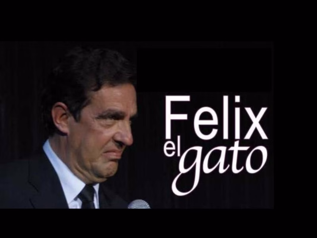 'Desde mi tejado' (FÉLIX EL GATO) en Morales del Vino