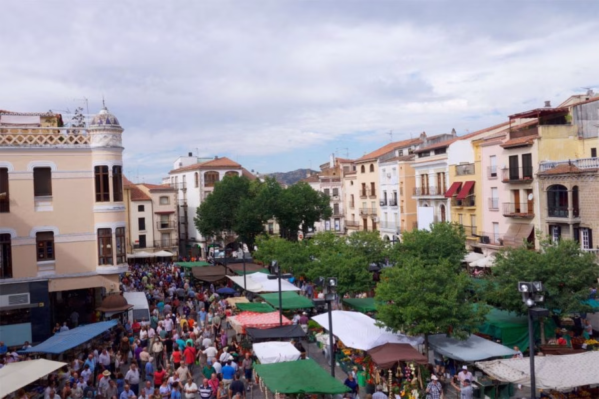 Martes Mayor de Plasencia 2026 en Plasencia