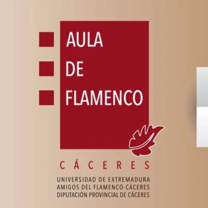 "El flamenco a través del cante y el toque" - Aula de Flamenco de Cáceres en Plasencia