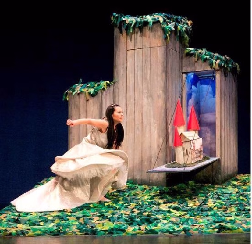 El niño erizo (LA MACHINA TEATRO) en Palazuelos de Eresma