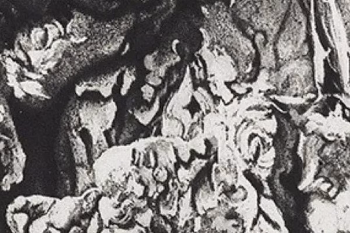 "El orden natural", exposición de Malu Riaza en Getxo
