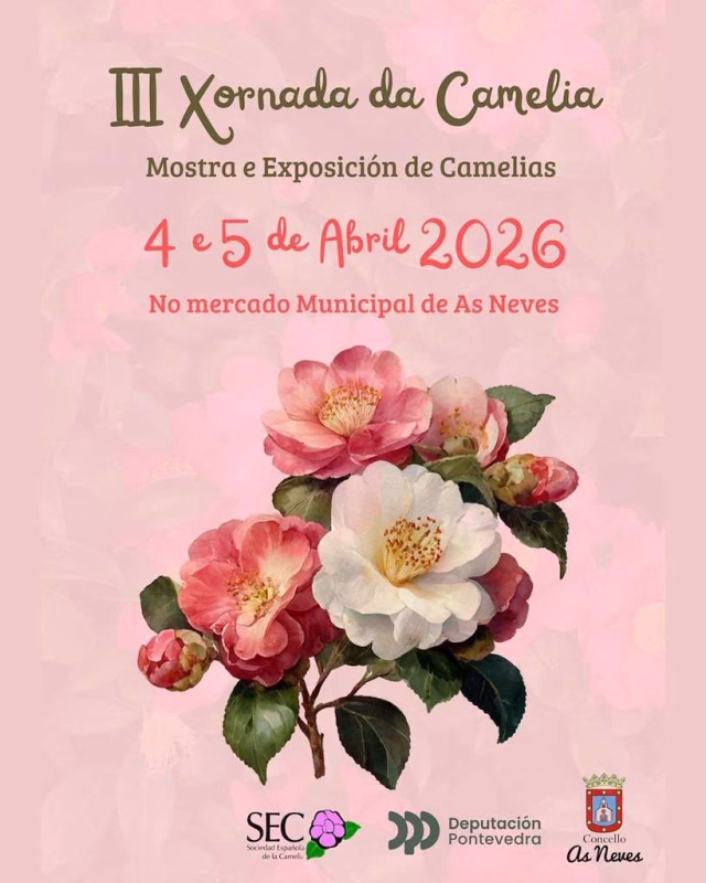 III Mostra da Camelia  en As Neves en As Neves