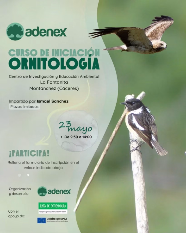 Iniciación a la Ornitología en Montánchez en Montánchez