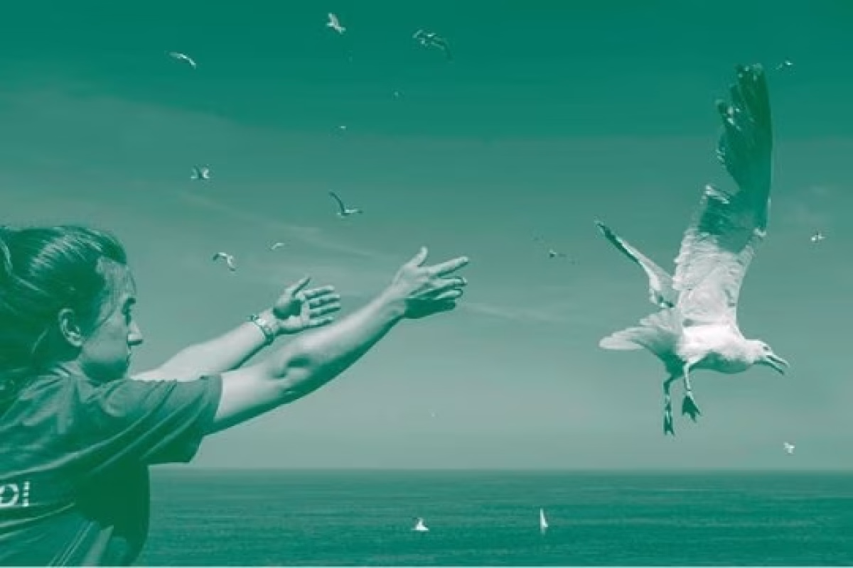 "Inseparables: ser humano y naturaleza. Una historia compartida," en Irun