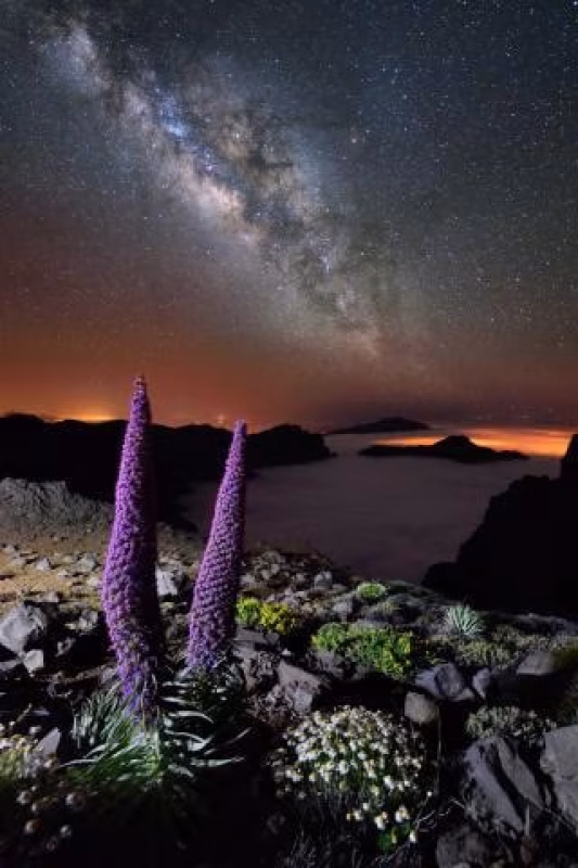 Lluvia de estrellas Dracónicas en Santa Cruz de la Palma