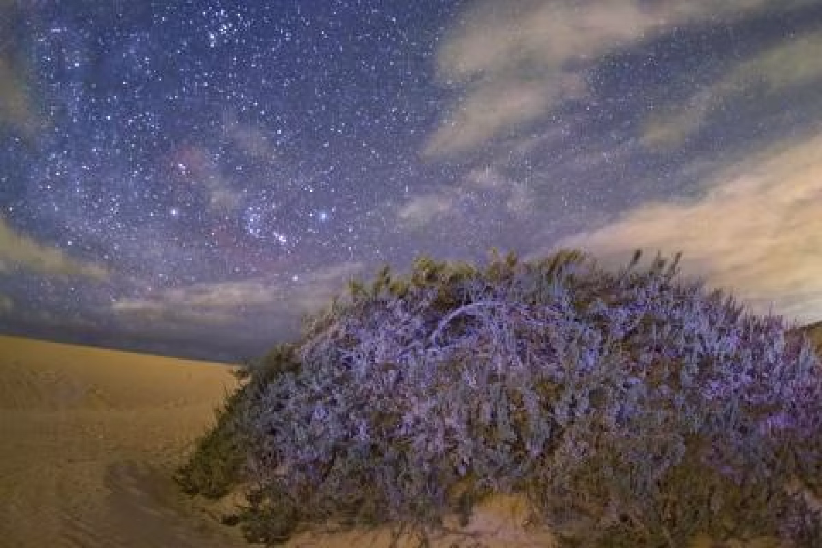 Lluvia de estrellas Perseidas en Pájara