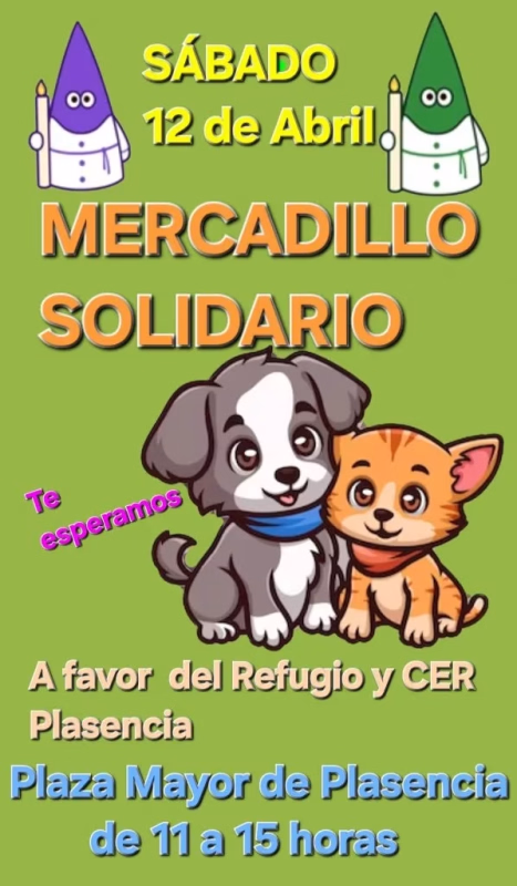 Mercadillo Solidario en Plasencia en Plasencia