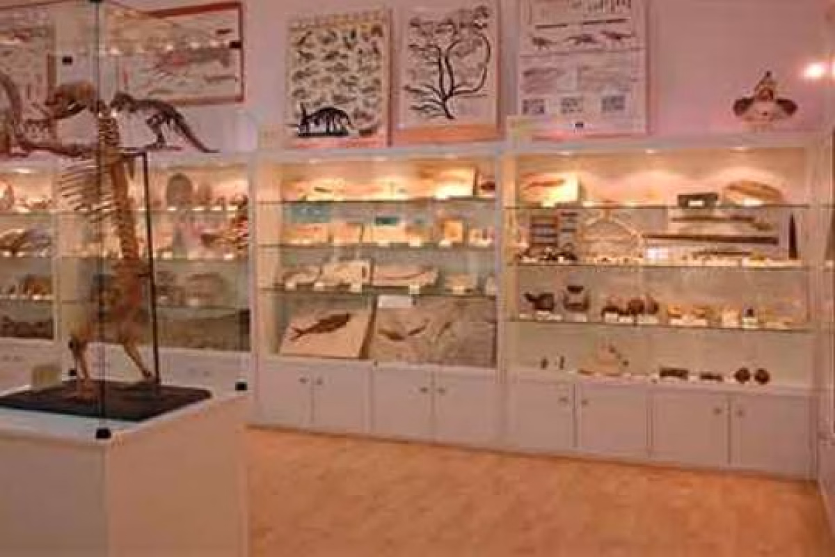 Museo de Fósiles y Minerales de Elgoibar en Elgoibar