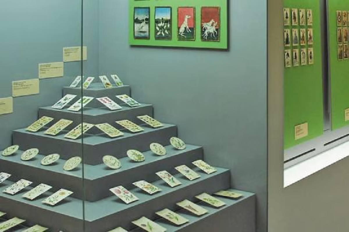 Museo Fournier de Naipes de Álava (exposición permanente) en Vitoria-Gasteiz