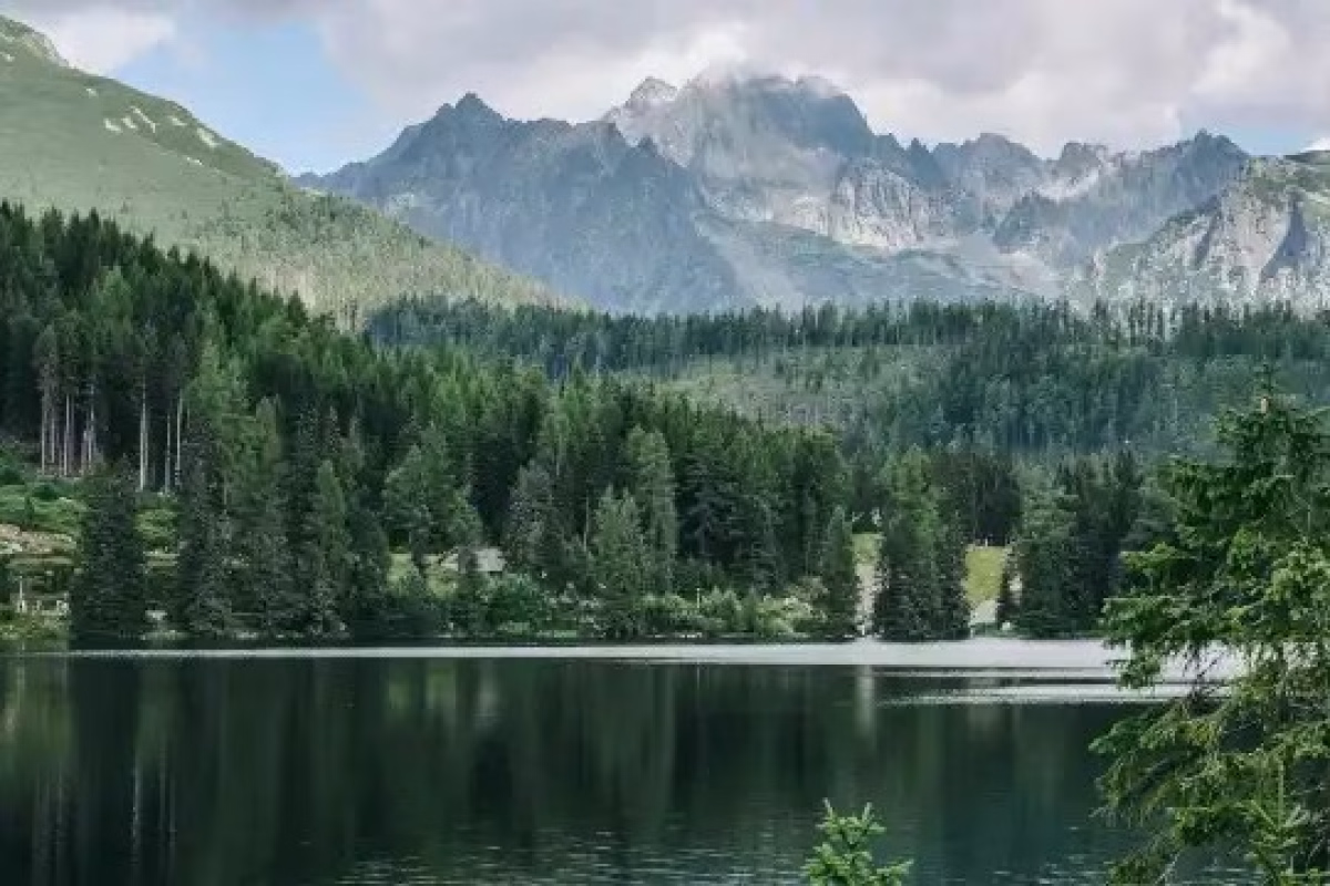 "Naturaleza y cultura - Las montañas como fuente de inspiración" en Vitoria-Gasteiz