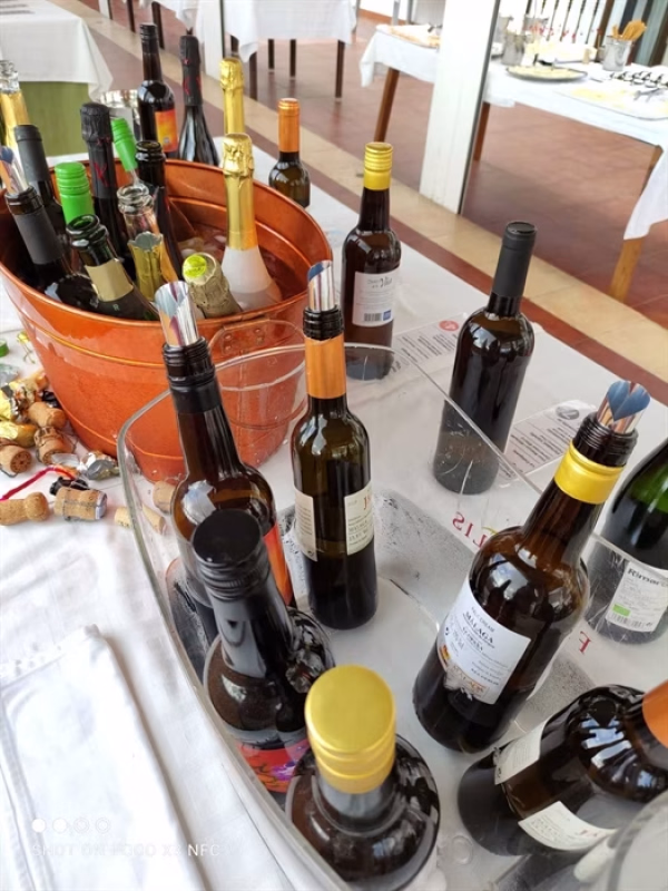 Noche del Vino en Cómpeta en Cómpeta