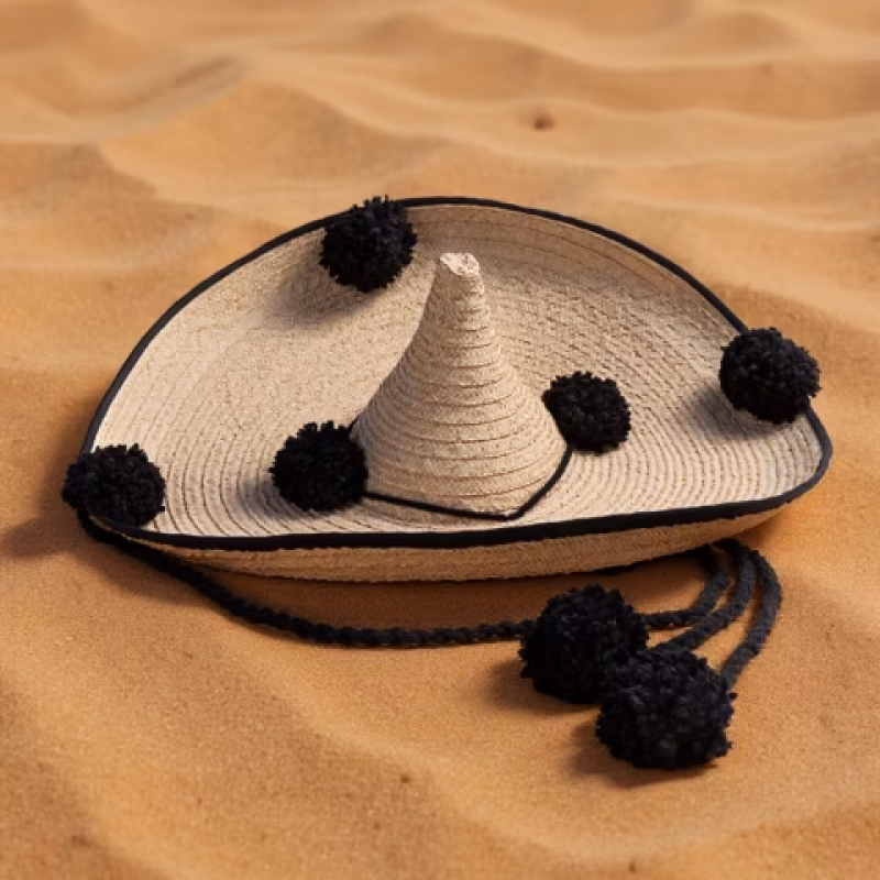 Romería de Los Llanos de La Concepción en Los Llanos de la Concepción