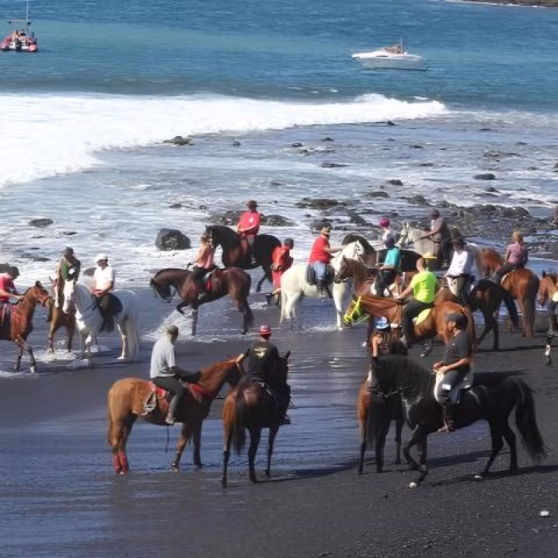 Romería de San Sebastián en La Enramada