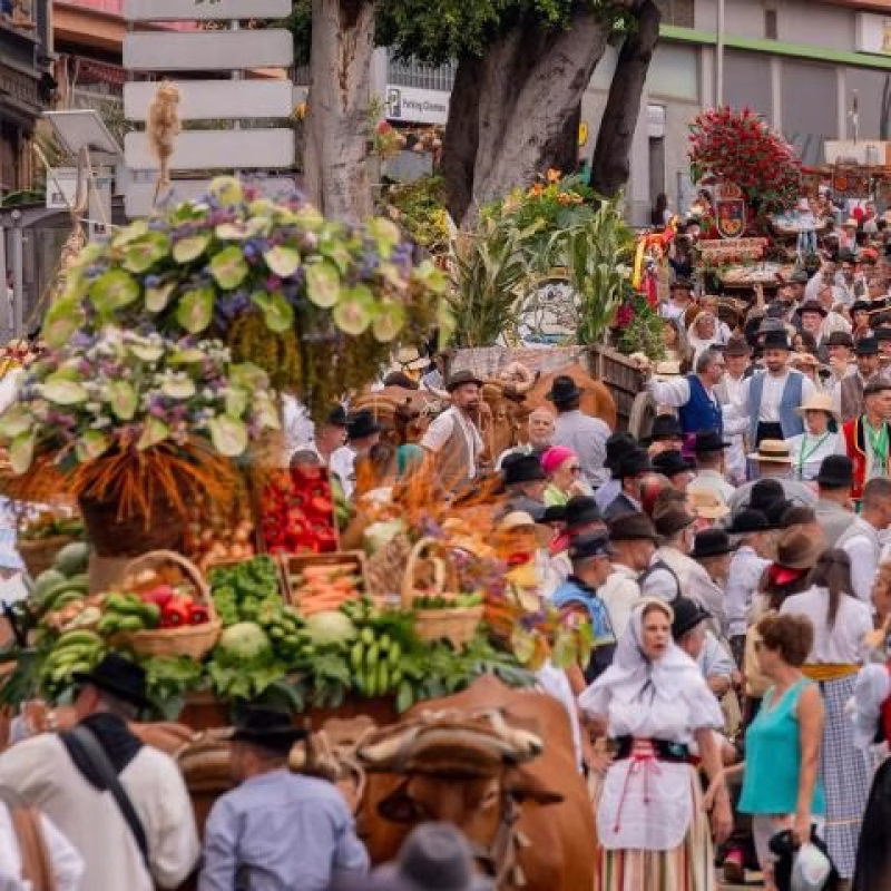 Romería ofrenda a Santiago de los Caballeros en Gáldar
