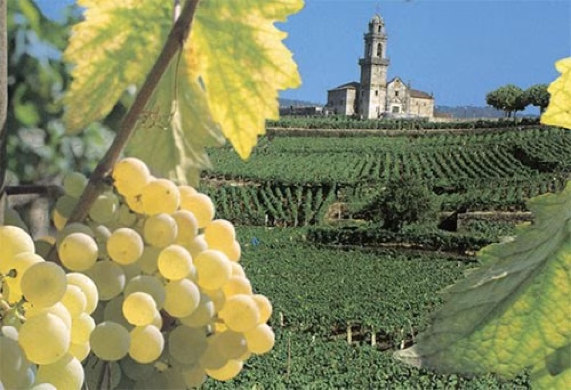 Ruta de O Ribeiro – Rías Baixas en Vigo