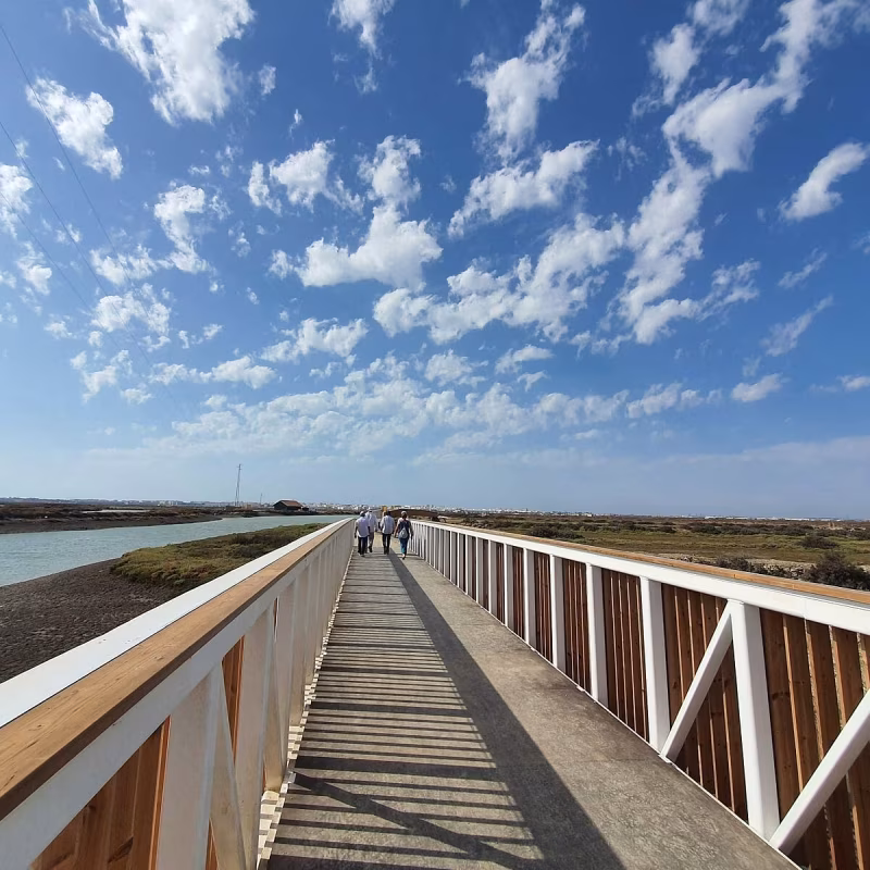 Ruta nocturna interpretada San Fernando-Chiclana en San Fernando