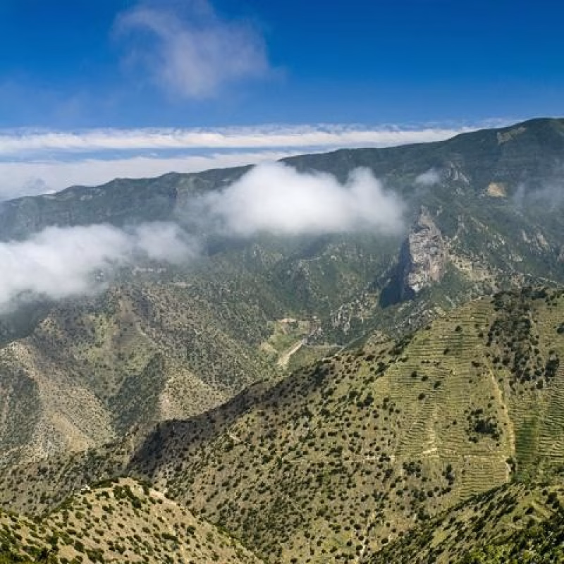 Trail Barranco del Ingenio en Vallehermoso