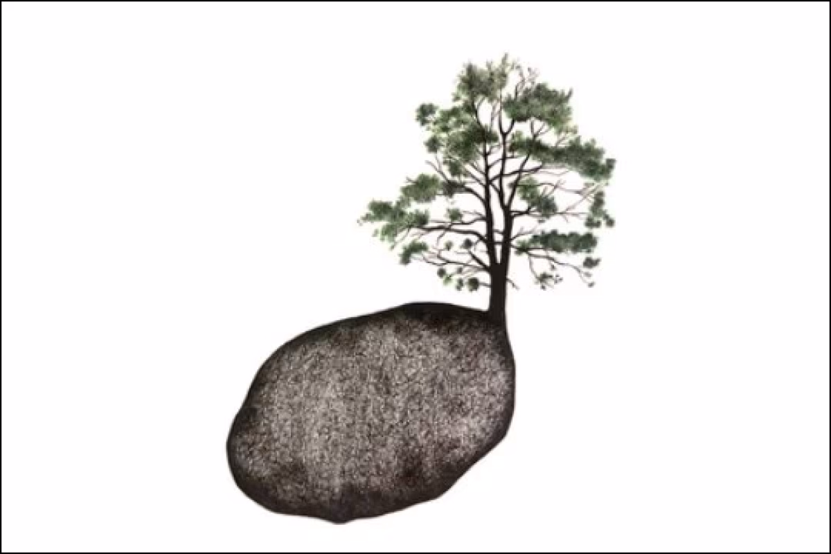 "Una experiencia de cultivo emocional a través del arte y la conexión con la naturaleza" en Hernani