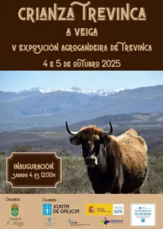 V Exposición Gandeira e Agrícola de Trevinca  en A Veiga en A Veiga