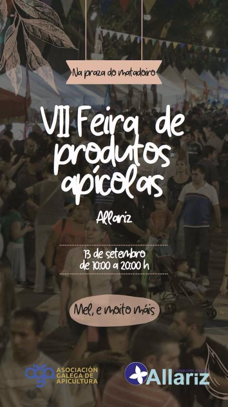 VII Feira dos Produtos Apícolas en Allariz en Allariz