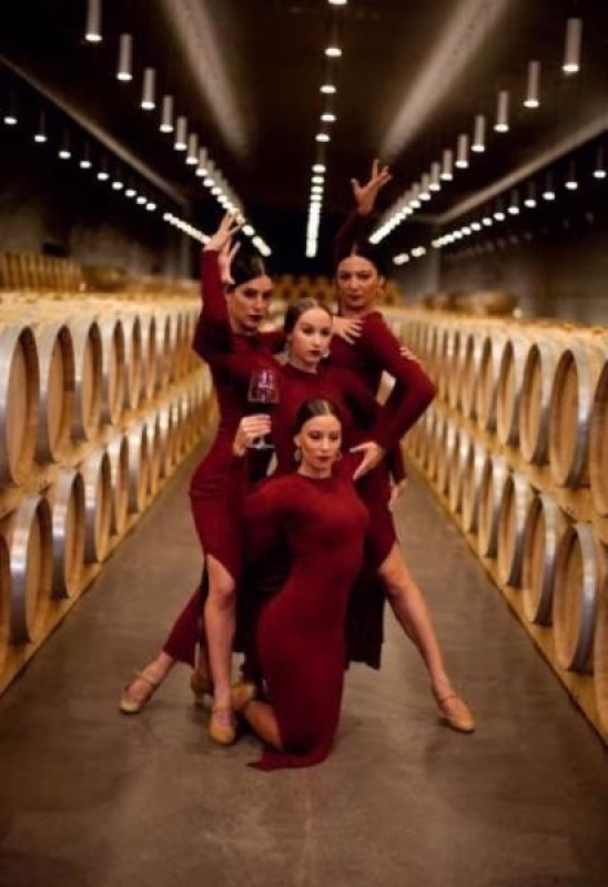 'Vinum' (ARVINE DANZA) en El Barco de Ávila