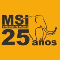 25 años del Museo de San Isidro. Los Orígenes de Madrid