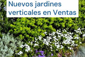 Inicio de obras de jardines verticales en Ventas