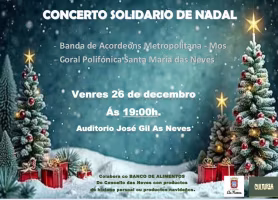 Concierto Solidario de Navidad  en As Neves