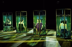Espectacle "MULJIL",  a càrrec de la companyia "Elephants Laugh"