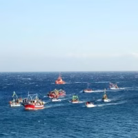 Fiestas del Carmen
