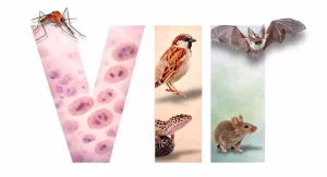 Malaria & One Health