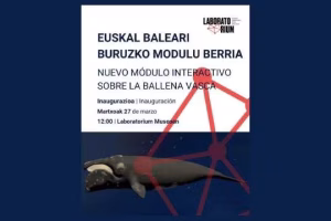 "Nuevo módulo sobre la ballena vasca"