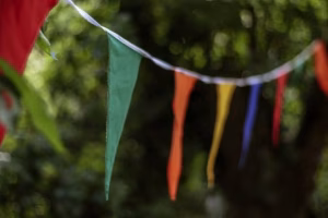 Programa Fiestas de Santa Ana 2026 en Mendaro
